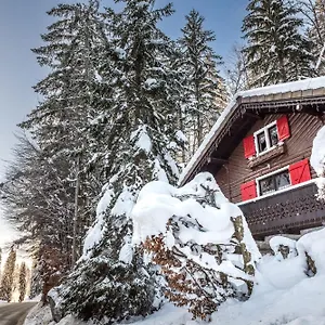  Chalet Le Petit Reve - De France